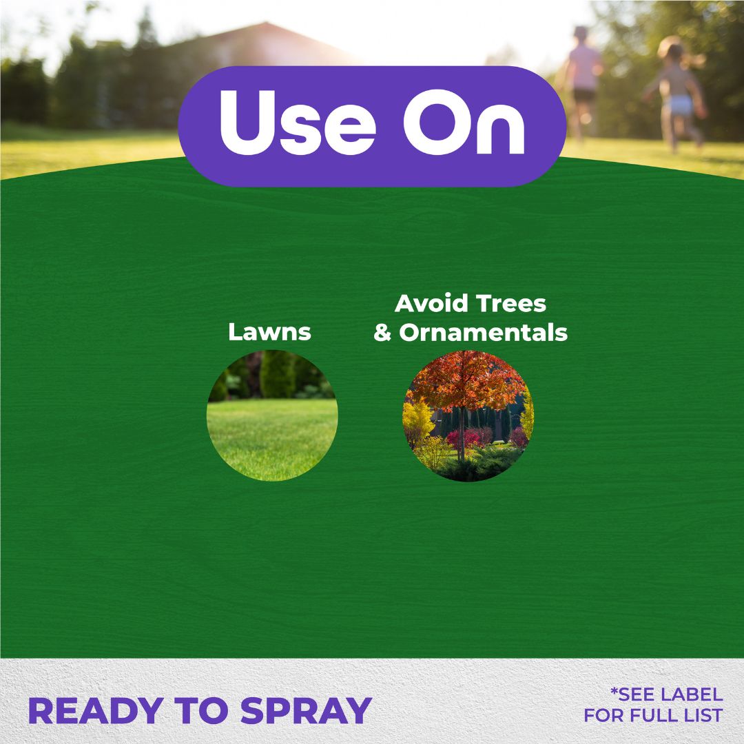 Sedge Ender Spray – Bonide – 16 oz